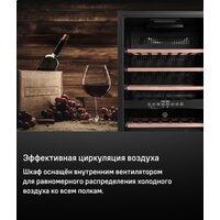 Винный шкаф MAUNFELD MFWC-124D49 - Превью изображения №11 — Интернет-магазин samo.by