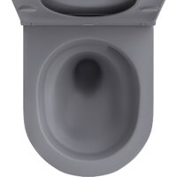 Унитаз подвесной Wellsee Chalice Perfection RimFree 182610001 (чаша, пневмокрышка, матовый серый) - Превью изображения №3 — Интернет-магазин samo.by