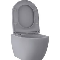 Унитаз подвесной Wellsee Chalice Perfection RimFree 182610001 (чаша, пневмокрышка, матовый серый) - Превью изображения №2 — Интернет-магазин samo.by