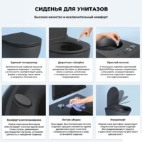 Унитаз подвесной Wellsee Chalice Perfection RimFree 182609001 (чаша, пневмокрышка, матовый черный) - Превью изображения №6 — Интернет-магазин samo.by
