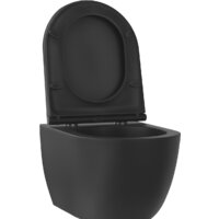 Унитаз подвесной Wellsee Chalice Perfection RimFree 182609001 (чаша, пневмокрышка, матовый черный) - Превью изображения №2 — Интернет-магазин samo.by