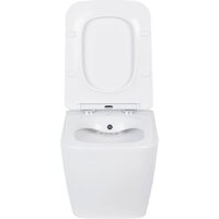 Унитаз подвесной Roxen Cube bidet в комплекте с инсталляцией StounFix Dual Fresh 6 в 1 968472 (кнопка: брашированное золото) - Превью изображения №6 — Интернет-магазин samo.by