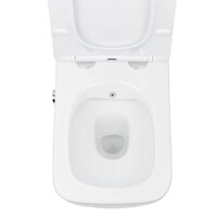 Унитаз подвесной Roxen Cube bidet в комплекте с инсталляцией StounFix Dual Fresh 6 в 1 968472 (кнопка: брашированное золото) - Превью изображения №7 — Интернет-магазин samo.by