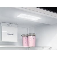 Холодильник Liebherr ICNd 5123 Plus NoFrost 5123-22001 - Превью изображения №12 — Интернет-магазин samo.by