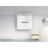 Холодильник Liebherr ICNd 5123 Plus NoFrost 5123-22001 - Превью изображения №13 — Интернет-магазин samo.by