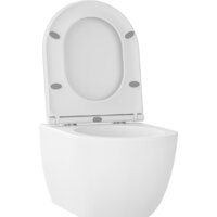 Унитаз подвесной Wellsee Chalice Perfection RimFree 182608001 (чаша, пневмокрышка, матовый белый) - Превью изображения №2 — Интернет-магазин samo.by