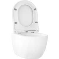 Унитаз подвесной Wellsee Chalice Perfection RimFree 182607001 (чаша, пневмокрышка, глянцевый белый) - Превью изображения №2 — Интернет-магазин samo.by
