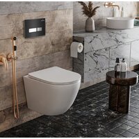 Инсталляция для унитаза Roxen StounFix Dual Fresh 873337 - Превью изображения №4 — Интернет-магазин samo.by