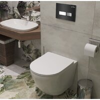 Инсталляция для унитаза Roxen StounFix Dual Fresh 873337 - Превью изображения №5 — Интернет-магазин samo.by