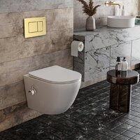 Унитаз подвесной Roxen Antares Bidet в комплекте с инсталляцией StounFix Dual Fresh 6 в 1 968457 (кнопка: брашированное золото) - Превью изображения №2 — Интернет-магазин samo.by