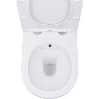 Унитаз подвесной Roxen Antares Bidet в комплекте с инсталляцией StounFix Dual Fresh 6 в 1 968457 (кнопка: брашированное золото) - Превью изображения №6 — Интернет-магазин samo.by
