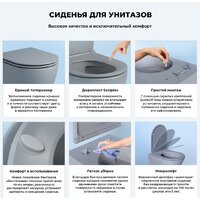 Унитаз подвесной Wellsee Pure BY Wellsee RimFree 182605001 (чаша, пневмокрышка, матовый серый) - Превью изображения №5 — Интернет-магазин samo.by