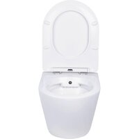 Унитаз подвесной Roxen Antares Bidet в комплекте с инсталляцией StounFix Dual Fresh 6 в 1 968424 (кнопка: сатин) - Превью изображения №4 — Интернет-магазин samo.by