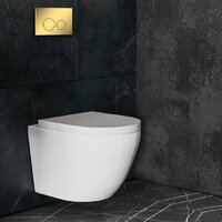 Панель смыва Roxen Santi 410260G - Превью изображения №4 — Интернет-магазин samo.by