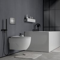 Унитаз подвесной Roxen Porto One Rimless 6 в 1 StounFix Dual Fresh 618703 (оружейная сталь/металл) - Превью изображения №11 — Интернет-магазин samo.by