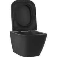 Унитаз подвесной Wellsee Pure BY Wellsee RimFree 182604001 (чаша, пневмокрышка, матовый черный) - Превью изображения №2 — Интернет-магазин samo.by