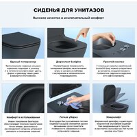 Унитаз подвесной Wellsee Pure BY Wellsee RimFree 182604001 (чаша, пневмокрышка, матовый черный) - Превью изображения №5 — Интернет-магазин samo.by