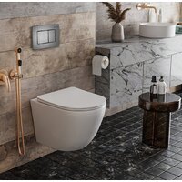 Инсталляция для унитаза Roxen StounFix Dual Fresh 859290 - Превью изображения №3 — Интернет-магазин samo.by