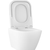 Унитаз подвесной Wellsee Pure BY Wellsee RimFree 182603001 (чаша, пневмокрышка, матовый белый) - Превью изображения №2 — Интернет-магазин samo.by