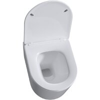 Унитаз подвесной Roxen Simple compact в комплекте с инсталляцией StounFix Dual Fresh 6 в 1 968480 (кнопка: брашированное золото) - Превью изображения №6 — Интернет-магазин samo.by