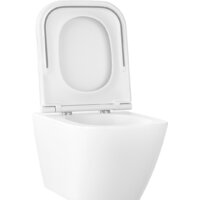 Унитаз подвесной Wellsee Pure BY Wellsee RimFree 182602001 (чаша, пневмокрышка, глянцевый белый) - Превью изображения №2 — Интернет-магазин samo.by