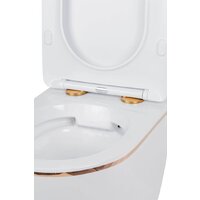 Унитаз подвесной Roxen Antares Gold в комплекте с инсталляцией StounFix Dual Fresh 6 в 1 968460 (кнопка: брашированное золото) - Превью изображения №10 — Интернет-магазин samo.by
