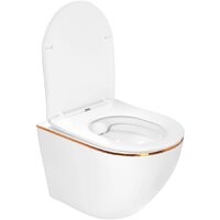 Унитаз подвесной Roxen Antares Gold в комплекте с инсталляцией StounFix Dual Fresh 6 в 1 968460 (кнопка: брашированное золото) - Превью изображения №9 — Интернет-магазин samo.by