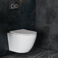 Панель смыва Roxen Santi 410260B - Превью изображения №5 — Интернет-магазин samo.by