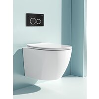 Панель смыва Roxen Santi 410260B - Превью изображения №6 — Интернет-магазин samo.by