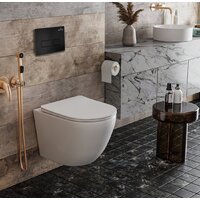 Инсталляция для унитаза Roxen StounFix Dual Fresh 847702 - Превью изображения №4 — Интернет-магазин samo.by