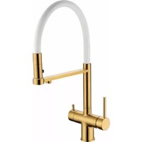 Grocenberg GB4095 с гибким изливом (золотой брашированный)
