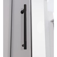 Душевая дверь Veconi Alassio AL-120-11-BB-C4 (стекло черное/черный) - Превью изображения №2 — Интернет-магазин samo.by