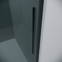 Душевая дверь Grossman Galaxy 100x195 100.K33.01.100.42.10 (графит сатин/стекло тонированное) - Превью изображения №3 — Интернет-магазин samo.by