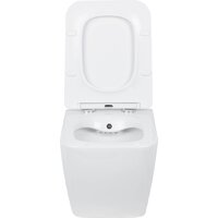 Унитаз подвесной Roxen Cube bidet в комплекте с инсталляцией StounFix Dual Fresh 6 в 1 968095 (кнопка: брашированное золото) - Превью изображения №5 — Интернет-магазин samo.by
