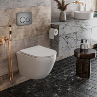 Панель смыва Roxen Steel 420260G - Превью изображения №4 — Интернет-магазин samo.by