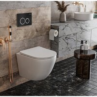 Инсталляция для унитаза Roxen StounFix Dual Fresh 811558 - Превью изображения №4 — Интернет-магазин samo.by