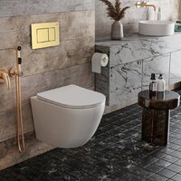 Унитаз подвесной Roxen Antares в комплекте с инсталляцией StounFix Dual Fresh 6 в 1 968451 (кнопка: брашированное золото) - Превью изображения №2 — Интернет-магазин samo.by