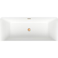 Ванна Wellsee DeSire 175,5x76 231503004 (отдельностоящая ванна белый глянец, экран, ножки, сифон-автомат золото) - Превью изображения №4 — Интернет-магазин samo.by
