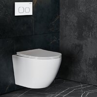 Панель смыва Roxen Santi 410280W - Превью изображения №5 — Интернет-магазин samo.by