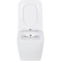 Унитаз подвесной Roxen Cube Bidet One Rimless 6 в 1 StounFix Dual Fresh 508149 (кнопка: черный матовый) - Превью изображения №7 — Интернет-магазин samo.by