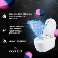 Средство для бачка инсталляции Roxen Dual Fresh 20000 (4 шт) - Превью изображения №4 — Интернет-магазин samo.by