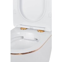 Унитаз подвесной Roxen Antares Gold в комплекте с инсталляцией StounFix Dual Fresh 6 в 1 968092 (кнопка: золото глянцевое ) - Превью изображения №8 — Интернет-магазин samo.by