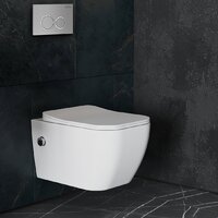 Унитаз подвесной Roxen Cube Bidet One Rimless 6 в 1 StounFix Dual Fresh 533185 (кнопка: матовая) - Превью изображения №13 — Интернет-магазин samo.by