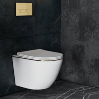 Унитаз подвесной Roxen Antares Gold 968096 в комплекте с инсталляцией StounFix Dual Fresh 6 в 1 968096 (кнопка: брашированное золото) - Превью изображения №9 — Интернет-магазин samo.by