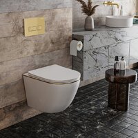 Унитаз подвесной Roxen Antares Gold 968096 в комплекте с инсталляцией StounFix Dual Fresh 6 в 1 968096 (кнопка: брашированное золото) - Превью изображения №10 — Интернет-магазин samo.by