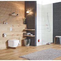 Унитаз подвесной Grohe Euro 3920600H (без сиденья) - Превью изображения №3 — Интернет-магазин samo.by