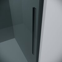 Душевой уголок Grossman Galaxy 100x80x195 120.K33.01.1080.42.10 (графит сатин/стекло тонированное) - Превью изображения №2 — Интернет-магазин samo.by