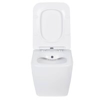 Унитаз подвесной Roxen Cube Bidet 530135-01X Rimless Soft Close с функцией биде - Превью изображения №9 — Интернет-магазин samo.by