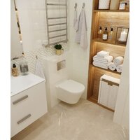 Унитаз подвесной Lavinia Boho Biore Compacto Rimless 21010005 (чаша, пневмокрышка, шум-я) - Превью изображения №14 — Интернет-магазин samo.by