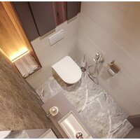 Унитаз подвесной Lavinia Boho Biore Compacto Rimless 21010005 (чаша, пневмокрышка, шум-я) - Превью изображения №31 — Интернет-магазин samo.by